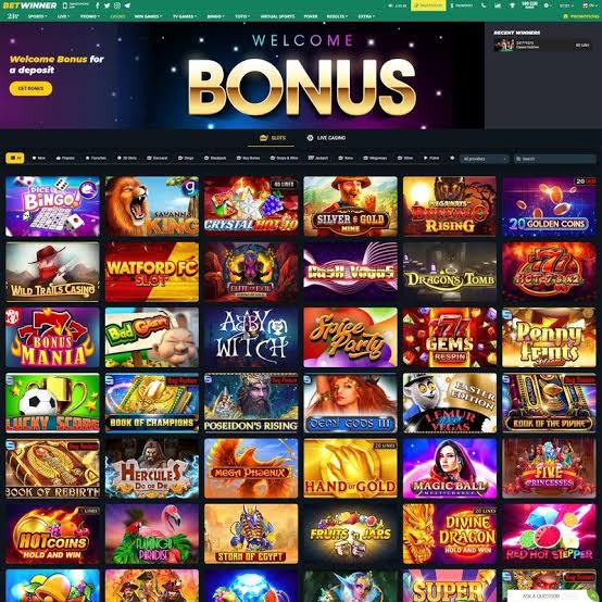 BetWinner Sportsbook The Ultimate Betting Experience