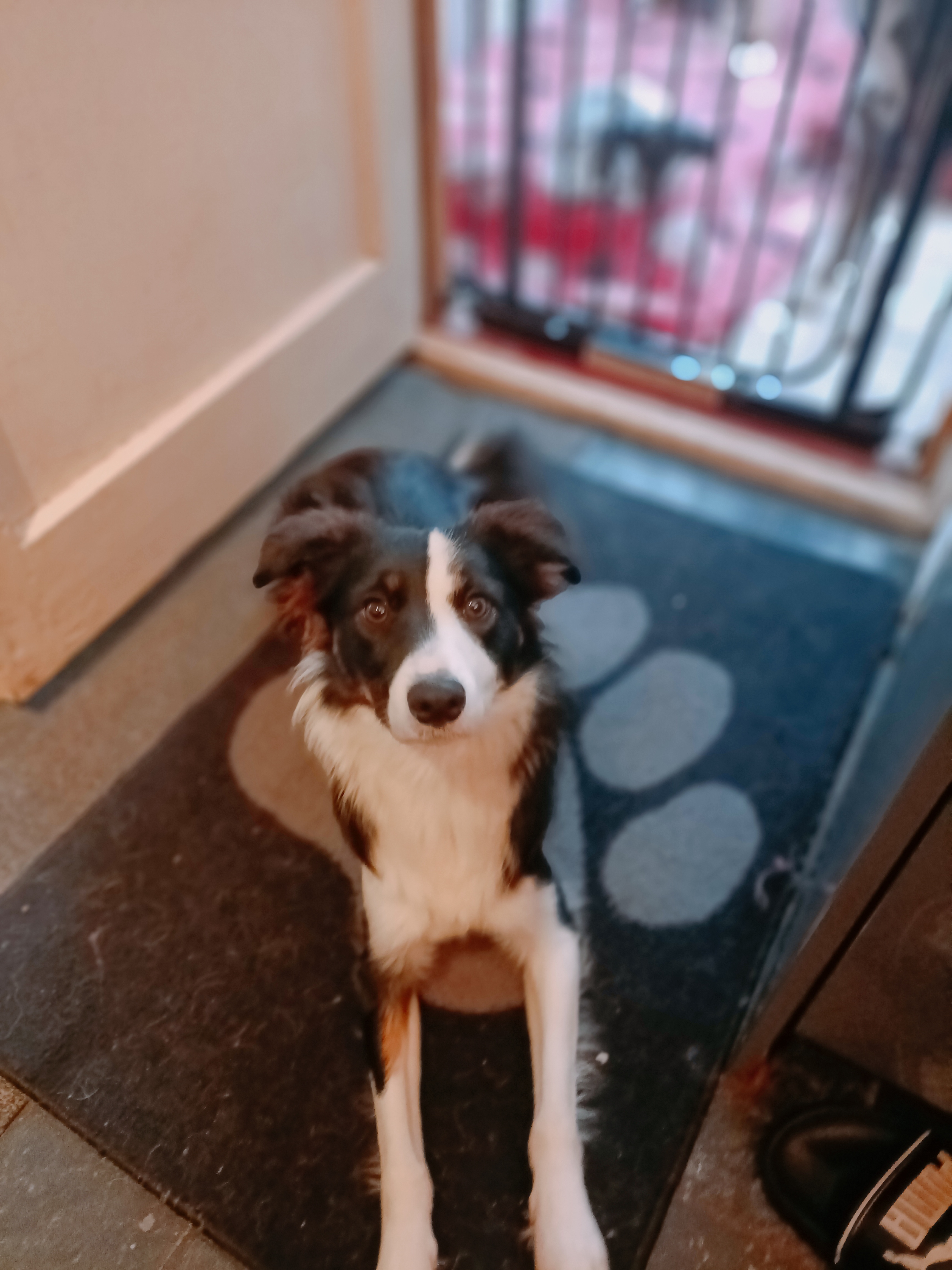 Training with James May Smith