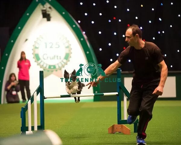 Lee Windeatt Guest Trainer at Sunshine Canine Devon