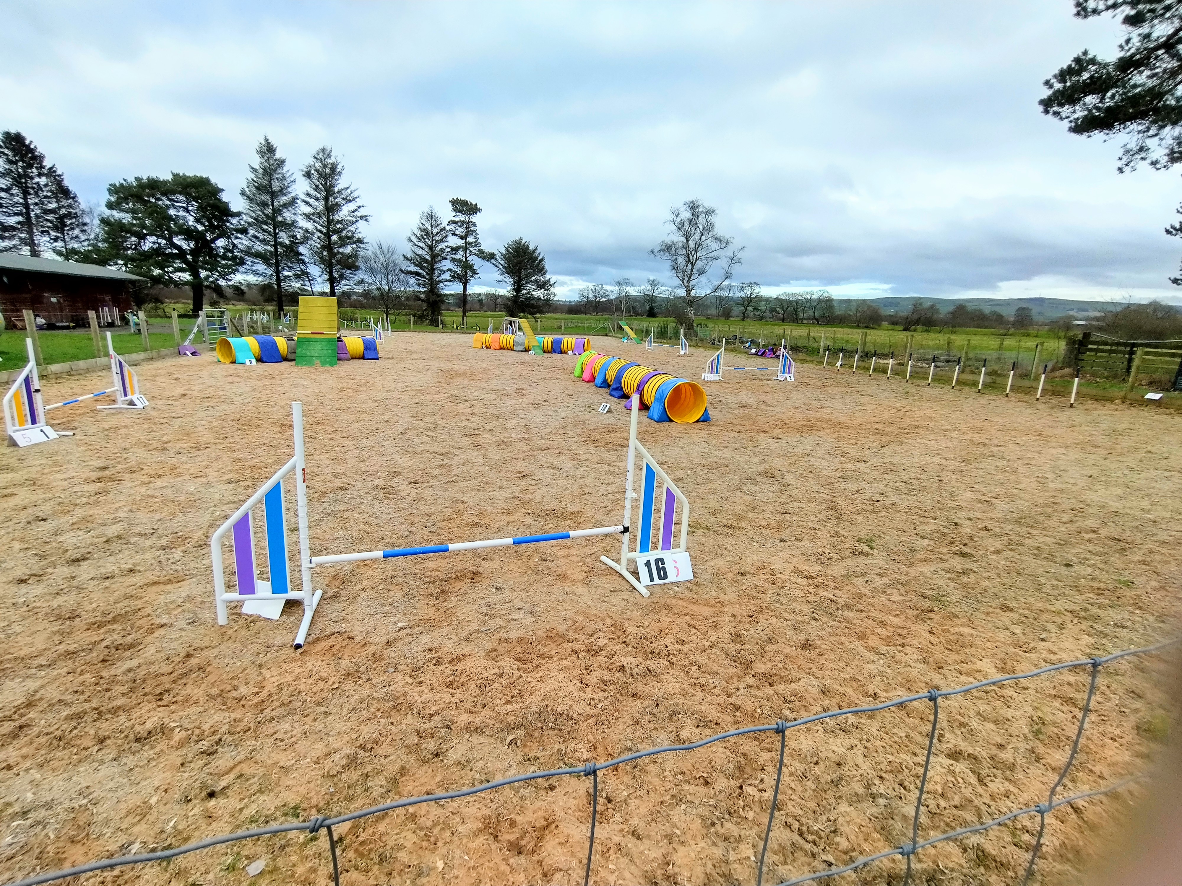 G5-7 agility day, morning skills workshop, afternoon course running