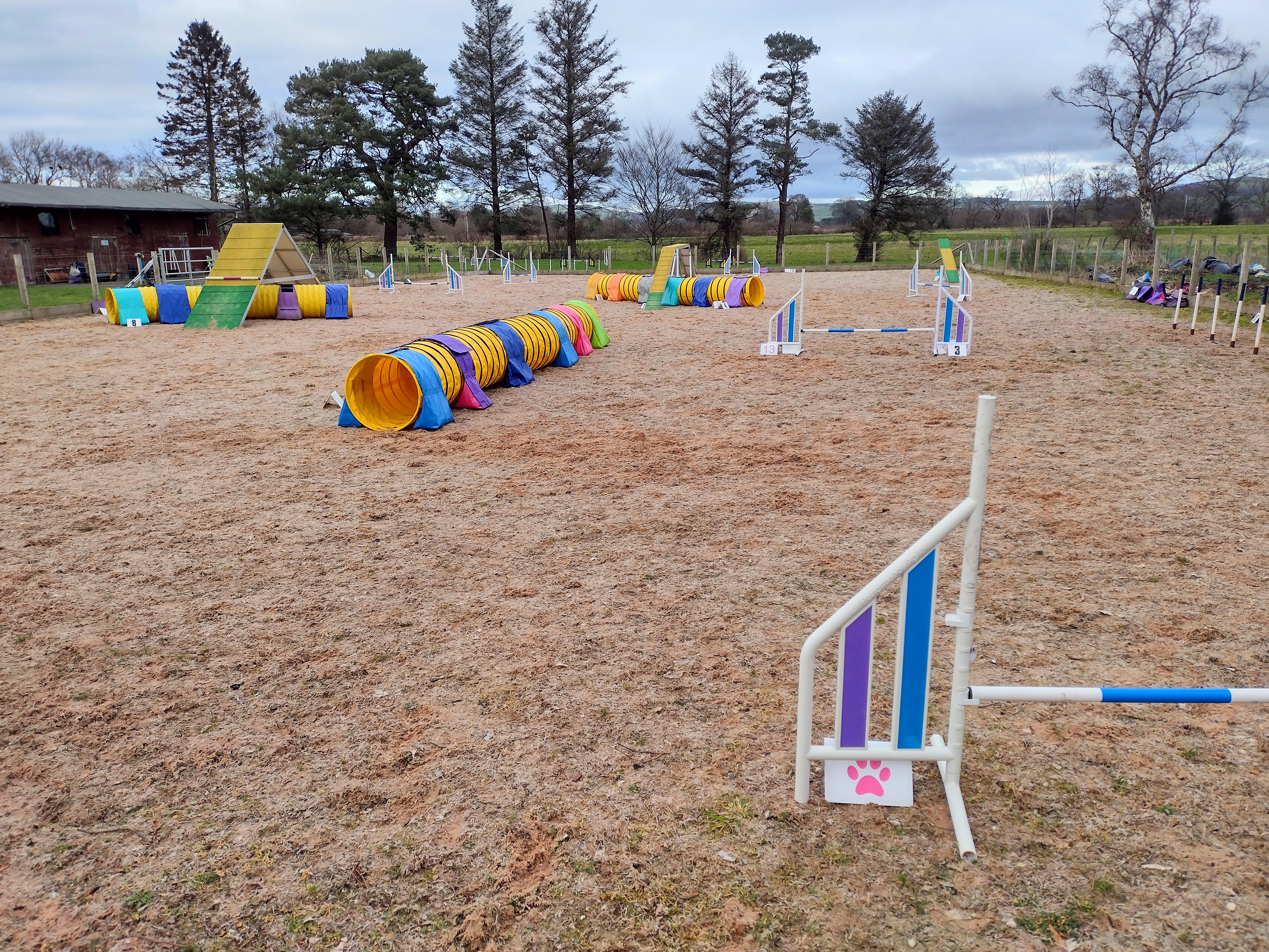 Training with Lila Zachwatowicz in Dumfries G1-4